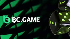 Everything You Need to Know About BC.GAME Withdrawal 7 Everything You Need to Know About BC.GAME Withdrawal 7