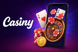 Experience the Benefits of the Casiny VIP Program Experience the Benefits of the Casiny VIP Program